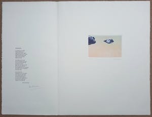 Nono Reinhold - Voor Nono, vijfkleuren ets met gedicht van Bert Schierbeek kopen? Bied vanaf 90!