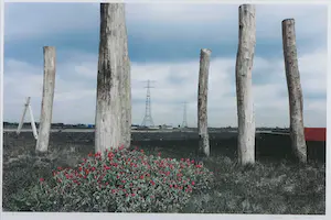 Mark Verdoes - Giclée, Perk&Paal - Ingelijst kopen? Bied vanaf 1!