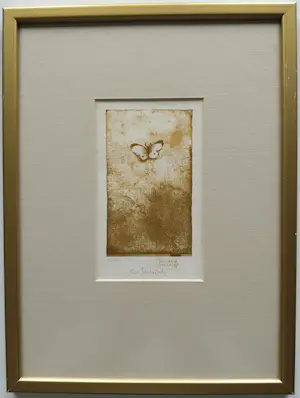 Vladimir Suchanek - lot van 4 stuks ingelijste gesigneerde litho’s kopen? Bied vanaf 79!