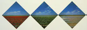 Ger Dekkers - bulb-fields..... kopen? Bied vanaf 10!