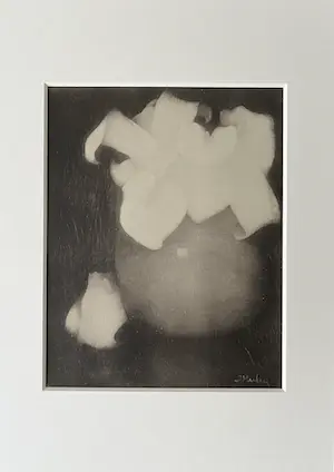Jan Mankes - Originele Heliogravure Aronskelken 1923 kopen? Bied vanaf 85!