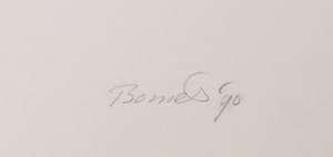 Bob Bonies - Zeefdruk, Zonder titel kopen? Bied vanaf 50!