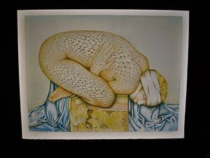 Georg Hadeler - Grote Surrealistische Lithografie "Wounded" oplage 100 EX - gesigneerd kopen? Bied vanaf 10!