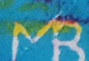 Michiel Brink - Een snelweg voor de vissen kopen? Bied vanaf 40!