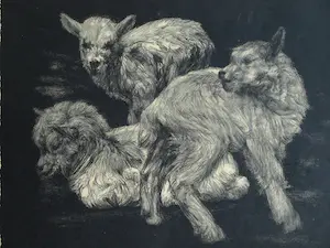 Dirk Homberg - 3x Litho , “Geitjes” – ca 1935 kopen? Bied vanaf 25!