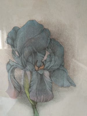 Bruno Bruni - Serie Florilegium (3 werken) kopen? Bied vanaf 120!