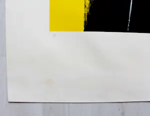 Hans Hartung - Serigraphie 1974 - Auflage HC - handsigniert - (78 x 60 cm) kopen? Bied vanaf 660!