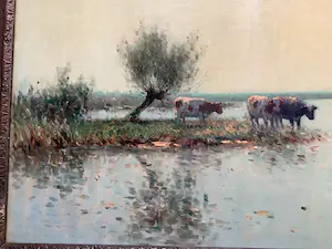 Aris Knikker - Koeien aan een plas kopen? Bied vanaf 300!