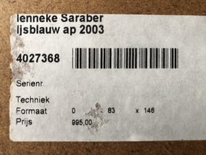 Lenneke Saraber - Blauw ijs kopen? Bied vanaf 150!