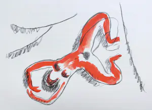 Kees van Dongen - Naakt, originele litho (1947) kaufen? Bieten Sie von 195!