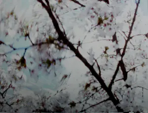 Marlene Dumas - 3 boeken: Suspect/Electa kopen? Bied vanaf 79!