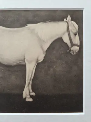 Jan Mankes - Paard. Ingelijst. kopen? Bied vanaf 119!