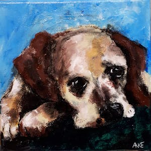 Anke Peddemors - puppy kopen? Bied vanaf 17!