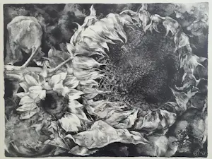 Aart van Dobbenburgh - "Zonnebloemen". kopen? Bied vanaf 75!