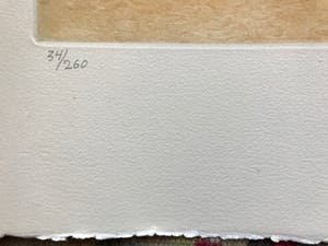 Axel Olson - Litho 34/260 kopen? Bied vanaf 20!