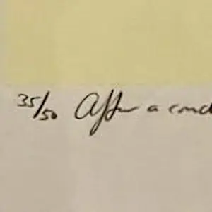 Jochum Bakker - After a Conclusion kopen? Bied vanaf 150!