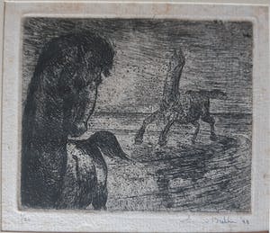 Enno Brokke - Twee paarden kopen? Bied vanaf 35!