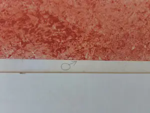 Jan Montyn - Fantasie. OPHALEN. kopen? Bied vanaf 20!