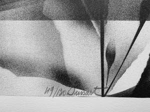 Gislain Dussart - Tulips kopen? Bied vanaf 10!