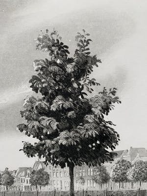 Wim Bettenhausen - ets - 'Wolken boven Pelsertoren' - 1992 (Eigen druk) kopen? Bied vanaf 135!