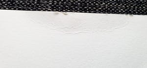 Herman Brood - Gesigneerde zeefdruk - 100 ex. kopen? Bied vanaf 1!