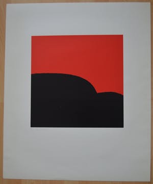 Willy Schmidhamer - Portfolio met 4 zeefdrukken compleet! kopen? Bied vanaf 150!