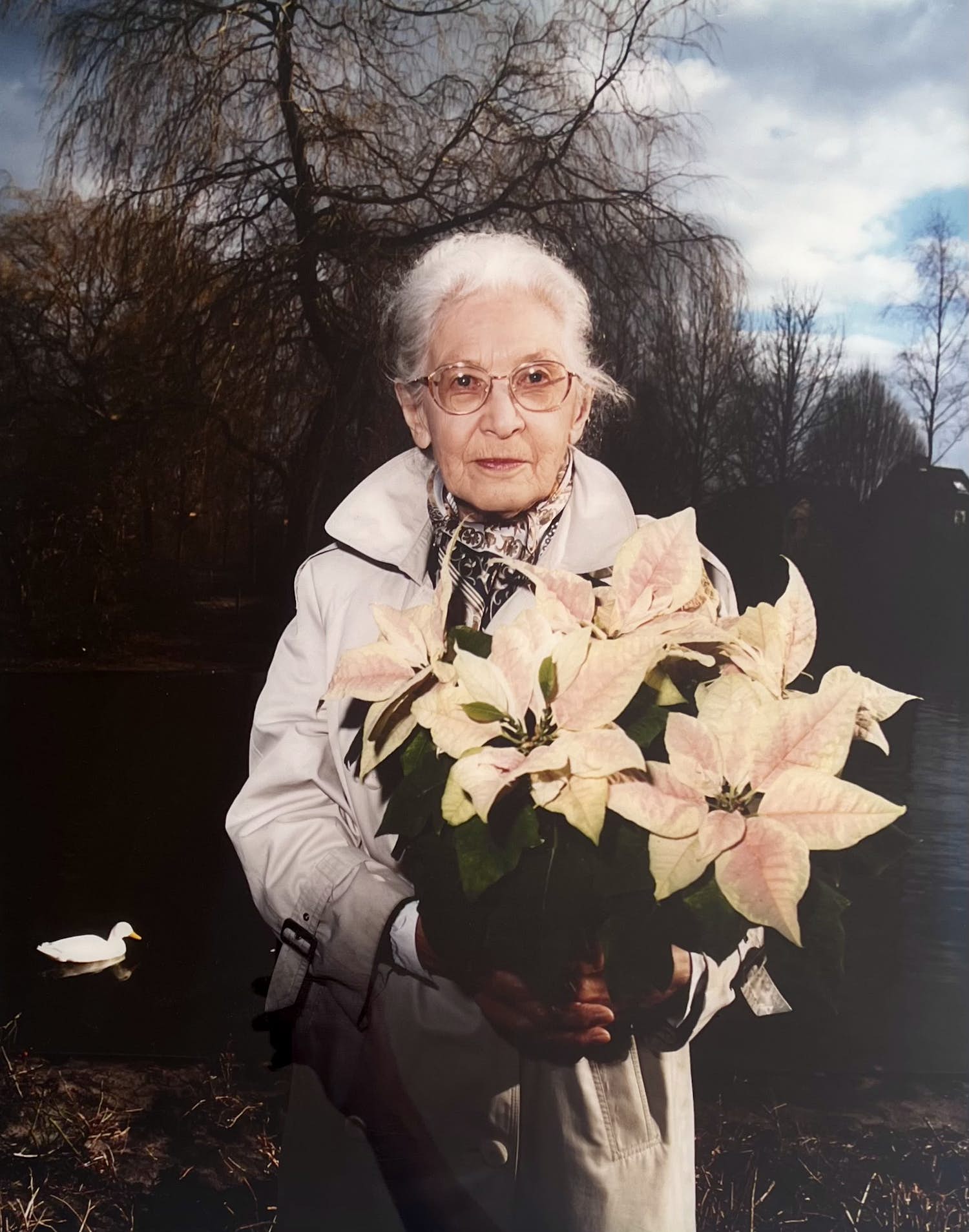 Margriet Smulders - Foto op dibond | 'Hibernum; Allegorie van de winter' | 1995 kopen? Bied vanaf 1!