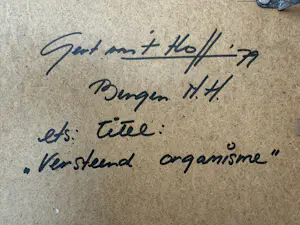 Gert van 't Hoff - Versteend Organisme kopen? Bied vanaf 35!