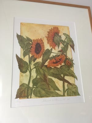 Willemien Holterman - kleurets Zonnebloemen kopen? Bied vanaf 100!