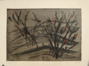 Ferdinand Springer - kein Titel kopen? Bied vanaf 150!