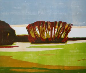 Frank Dekkers - houtsnede: landschap met bomen - 2001 (netjes ingelijst) kopen? Bied vanaf 70!