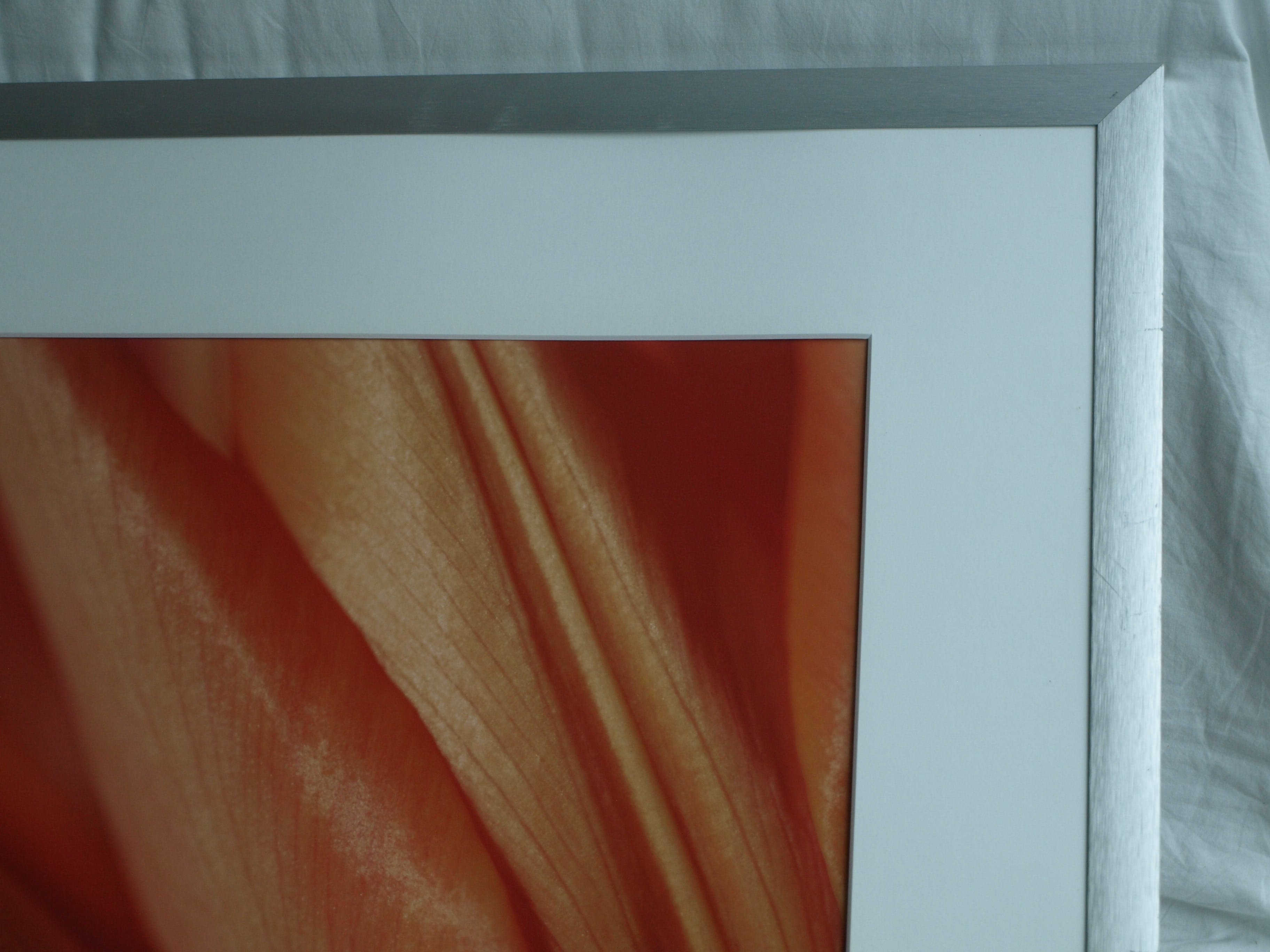 Niet of onleesbaar gesigneerd - Foto , Close-up – ingelijst  kopen? Bied vanaf 1!