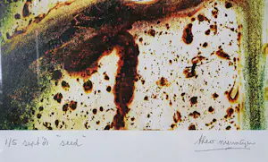 Theo Niermeijer - 'Seed' (1981). kaufen? Bieten Sie von 65!