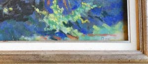 Pal Bor - C3427-7, Kastanjeboom kopen? Bied vanaf 200!