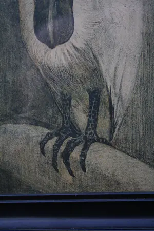 Theo van Hoytema - Theo van Hoytema kopen? Bied vanaf 75!