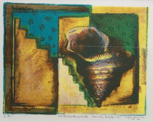 Marianne Aulman - 2 litho's Schelpen | kleine oplage - beide identiek ingelijst kopen? Bied vanaf 39!