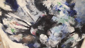 Hans Lie - Judo kopen? Bied vanaf 350!