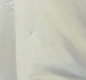 Anne Kittelmann - Olieverf op doek, Hans im Glück kaufen? Bieten Sie von 1!