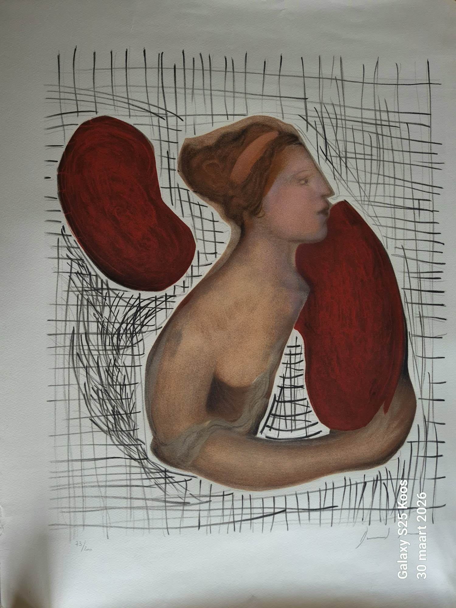 David Stein - D'apres Picasso kopen? Bied vanaf 150!