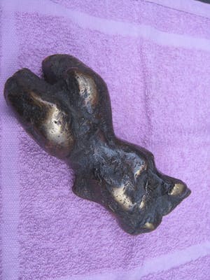 Brons (Onbekend) - Torso van een naakte vrouw kopen? Bied vanaf 120!