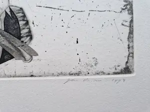 Jan Prins - Grote & fraai uitgewerkte - unica 2e staat - Ets "Paardeval" kopen? Bied vanaf 32!