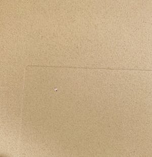 Leonor Fini - Fruits de la Passion kopen? Bied vanaf 35!