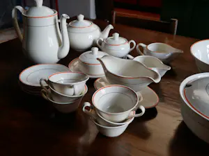 Firma Regout & Co - servies kopen? Bied vanaf 100!