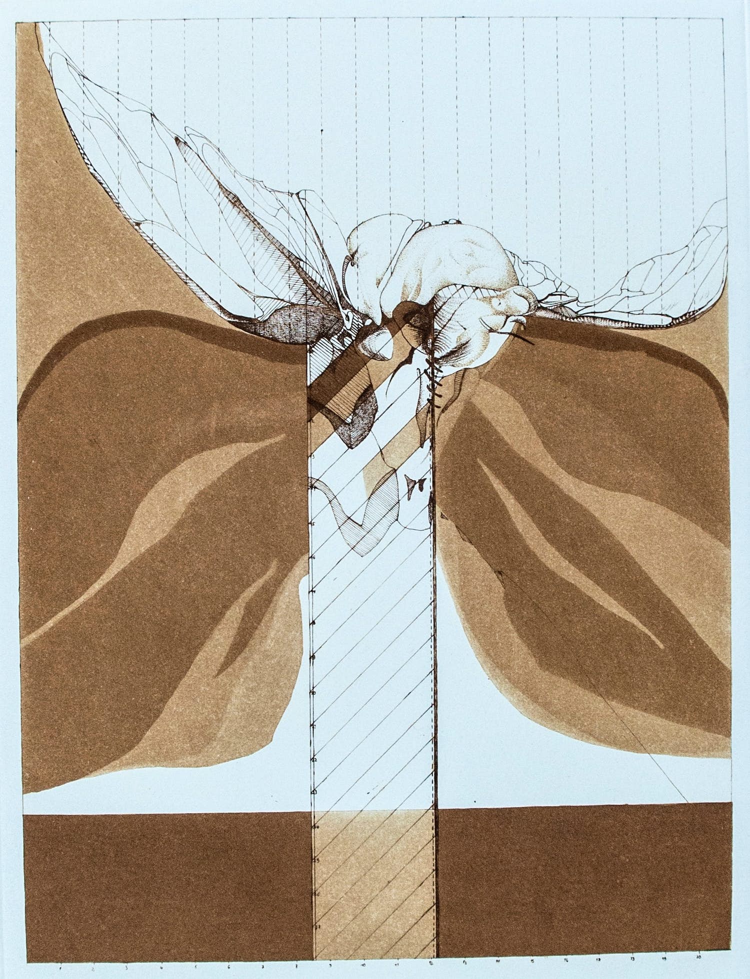 Gabriele Grosse - Cicada Hieroglyphica im Anflug kopen? Bied vanaf 20!