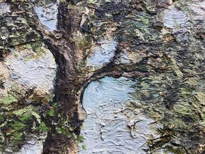 Niet of onleesbaar gesigneerd - Boom. kopen? Bied vanaf 1!