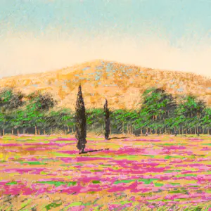 Mario Soave - Bloemenveld kopen? Bied vanaf 40!