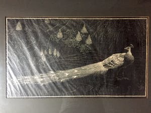 Henri Verstijnen - "Pauw" - Houtsnede, Ingelijst kopen? Bied vanaf 80!