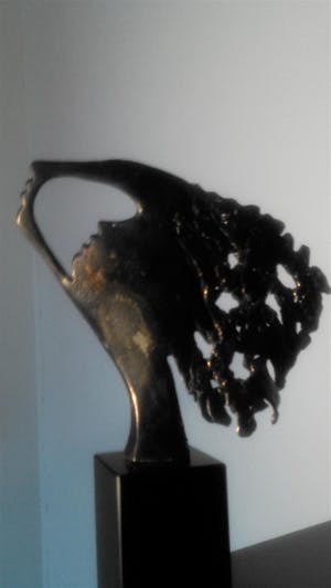 Bernadette Leijdekkers - Vrouw die naar de toekomst kijkt kopen? Bied vanaf 59!