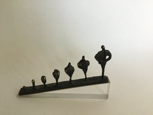 Brons (Onbekend) - Groei kopen? Bied vanaf 10!