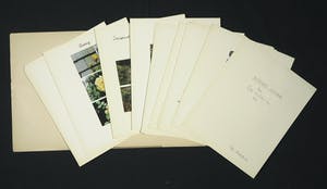 Peter Hutchinson - Alphabet Cottage - About a garden and the changes that take place. kopen? Bied vanaf 20!